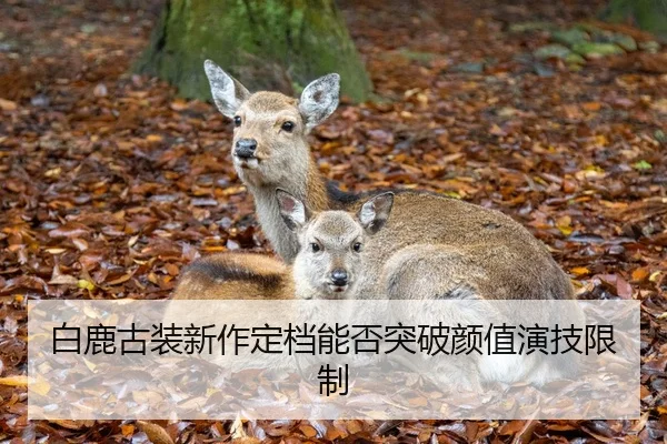 白鹿古装新作定档能否突破颜值演技限制
